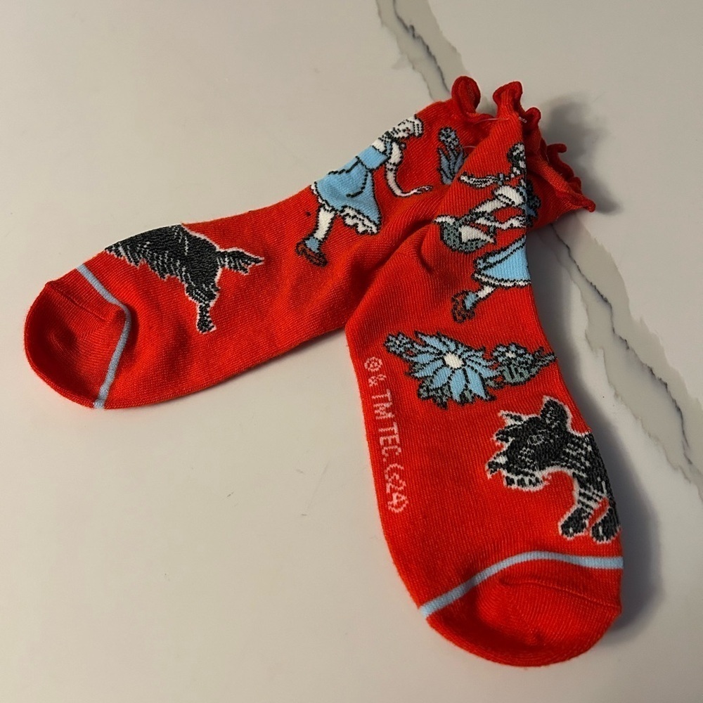 Wizard of Oz Dorothy & Toto socks NWOT